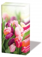 Taschentücher - Glorious Tulips