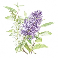 Servietten 25x25 cm - Lilac White