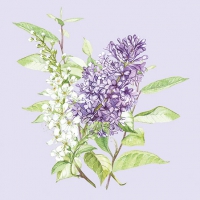Servietten 25x25 cm - Lilac Lila