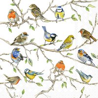 Servietten 25x25 cm - Birds Meeting