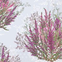 Servietten 25x25 cm - Calluna 