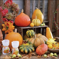 Servietten 33x33 cm - Pumpkins Picture