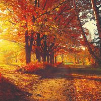 Servietten 33x33 cm - Autumn Park