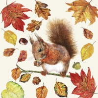 Servietten 33x33 cm - Eating Squirrel