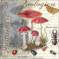 Servietten 33x33 cm - Fly Agaric And Beetle