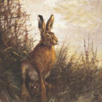 Servietten 33x33 cm - Portrait Of Hare