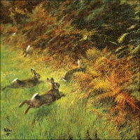 Servietten 33x33 cm - Running Rabbits