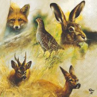 Servietten 33x33 cm - Wild Animals Collage 