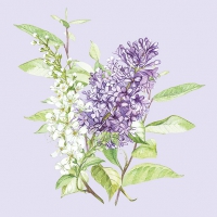 Servietten 33x33 cm - Lilac Lila