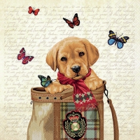 Servietten 33x33 cm - Buddy