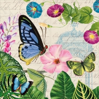 Servietten 33x33 cm - Romantic Pure