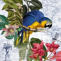 Servietten 33x33 cm - Ara