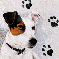 Servietten 33x33 cm - Jack Russel