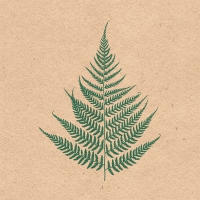 Servietten 33x33 cm - Recycled Fern Leaf