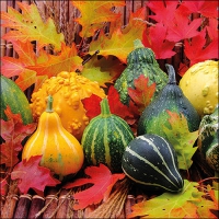 Servietten 33x33 cm - Pumpkins And Leaves