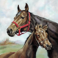 Servietten 33x33 cm - Horse Love 