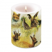 Dekorkerze - Wild Animals Collage