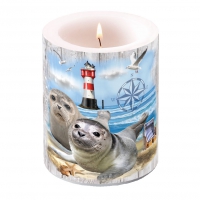 Dekorkerze - Seal Couple