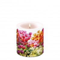 Dekorkerze klein - Tulips