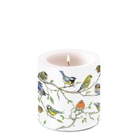 Dekorkerze klein - Birds Meeting