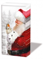 Taschentücher - Telling Robin