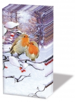 Taschentücher - Robins On Branch