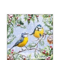 Servietten 25x25 cm - Chirping Birds