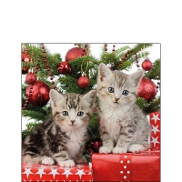Servietten 25x25 cm - Christmas Kitten