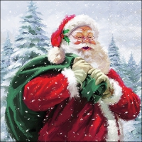 Servietten 33x33 cm - Ho Ho Ho!