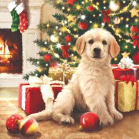 Servietten 33x33 cm - Waiting For Presents