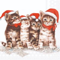 Servietten 33x33 cm - Singing Cats