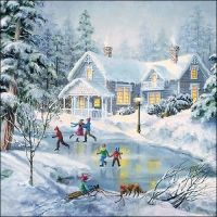 Servietten 33x33 cm - Evening Skating