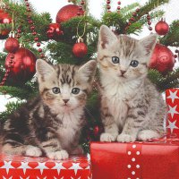 Servietten 33x33 cm - Christmas Kitten