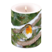 Dekorkerze - Robin In Tree