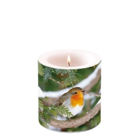 Dekorkerze klein - Robin In Tree