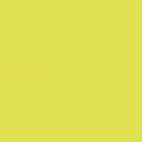 Dunisoft Servietten 20x20 cm - kiwi Dunisoft Servietten 20x20 cm - kiwi