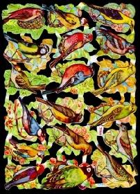 Glanzbilder - grelle Vögel