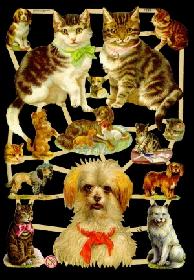 Glanzbilder - Hunde und Katzen