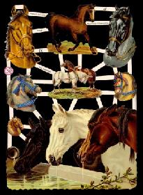 Glanzbilder - Pferde an der Tränke