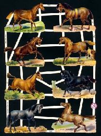 Glanzbilder - 8 Pferde 