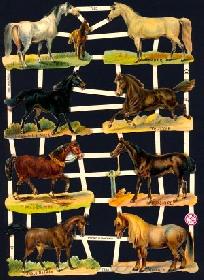 Glanzbilder - 8 Pferde 