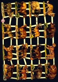 Glanzbilder - Waldtiere Glanzbilder - Waldtiere