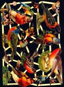 Glanzbilder - dunkle Vögel