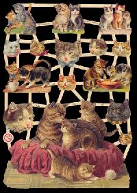 Glanzbilder - Katzen