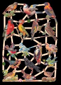 Glanzbilder - heimische Vögel Glanzbilder - heimische Vögel