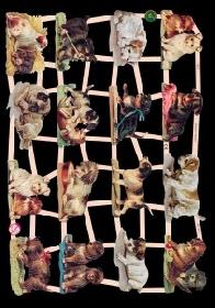 Glanzbilder - Hunde Glanzbilder - Hunde