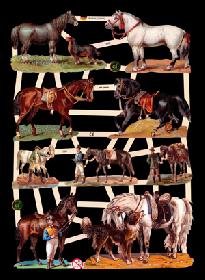 Glanzbilder - Pferde