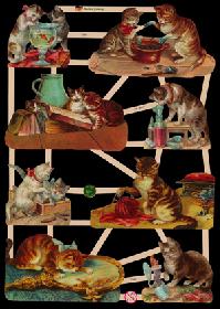 Glanzbilder - Katzen Glanzbilder - Katzen