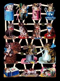 Glanzbilder - Katzen Glanzbilder - Katzen