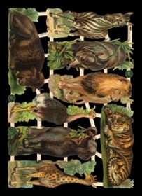 Glanzbilder - Waldtiere